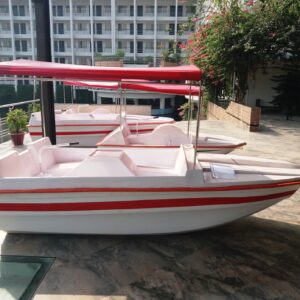 Paddle Boat